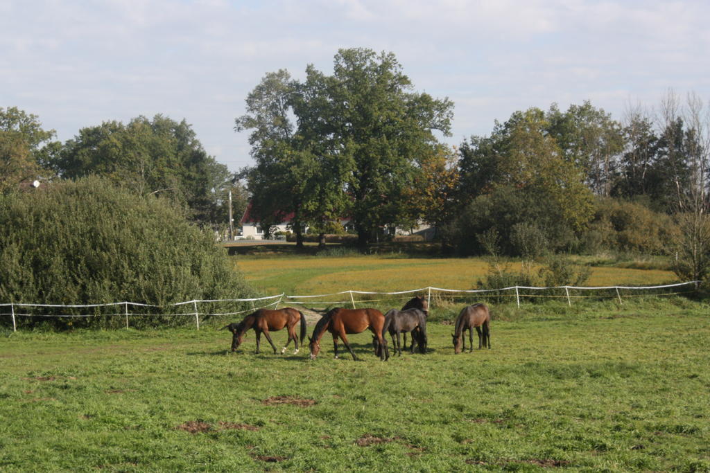 Hotel Gutshof Zum Adlernest Arnsnesta Exteriér fotografie